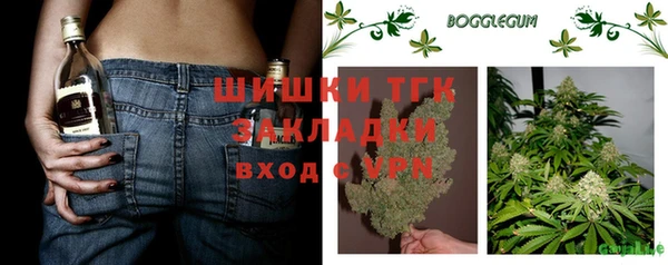 стафф Богданович